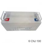 [新品] 铅酸蓄电池(12V100Ah)图3