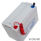 [新品] 免维护铅酸蓄电池(12V80Ah)图2