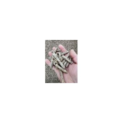 济南生物质木屑燃料颗粒