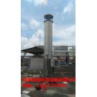 [新品] 不锈钢小型沼气火炬(HQHJ-50)图3