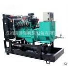 沼气发电机组(10KW-300KW)图2