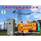 沼气发电机组(DQZJ-120)图3