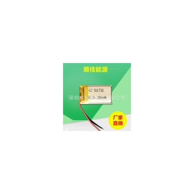 聚合物锂电池(SJ501730)