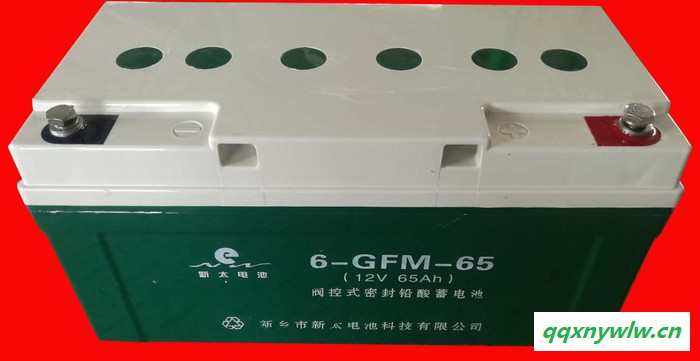 太阳能系统阀控式密封铅酸蓄电池6-GFM-65