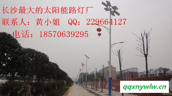 浏阳太阳能灯图3