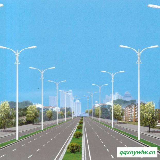 路灯厂市政路灯 6米太阳能路灯庭院太阳能灯 市政路灯厂家图6