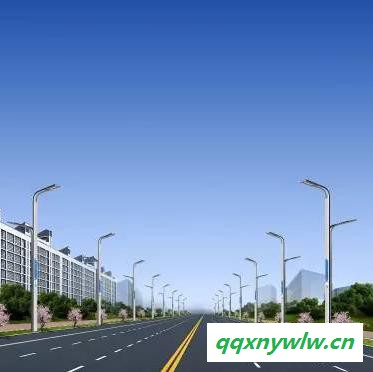 路灯厂市政路灯 6米太阳能路灯庭院太阳能灯 市政路灯厂家图3