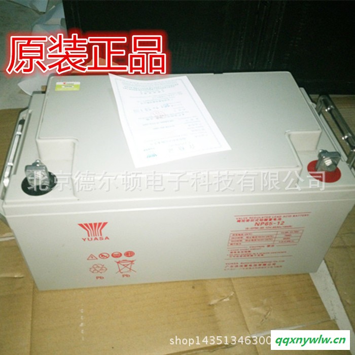 汤浅蓄电池 12v100ah蓄电池 UPS高品质蓄电池 铅酸蓄电池 太阳能光伏电池图3