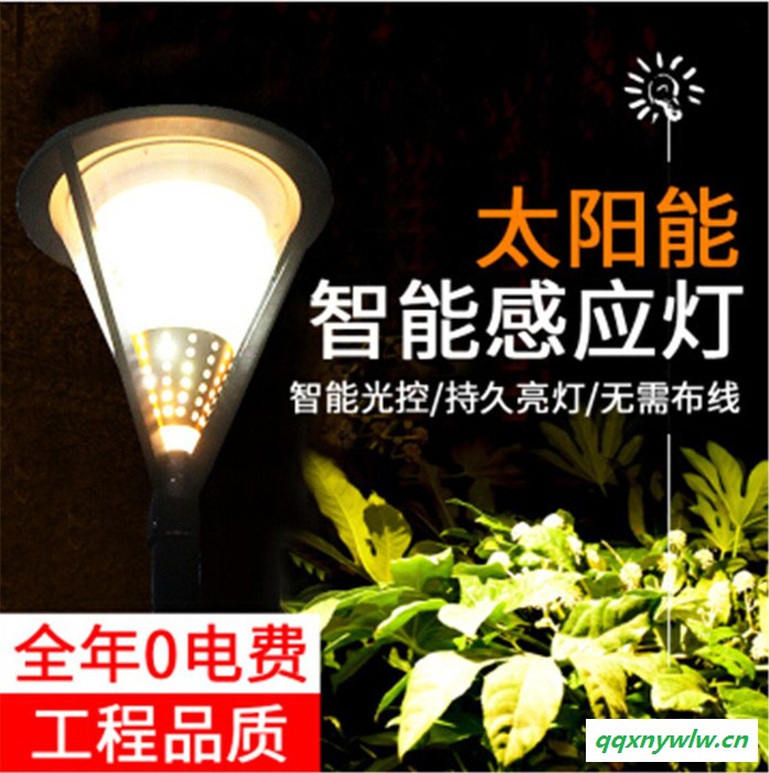 襄阳【云储晶】 太阳能灯太阳能庭院 太阳能路灯 太阳能草坪灯图3