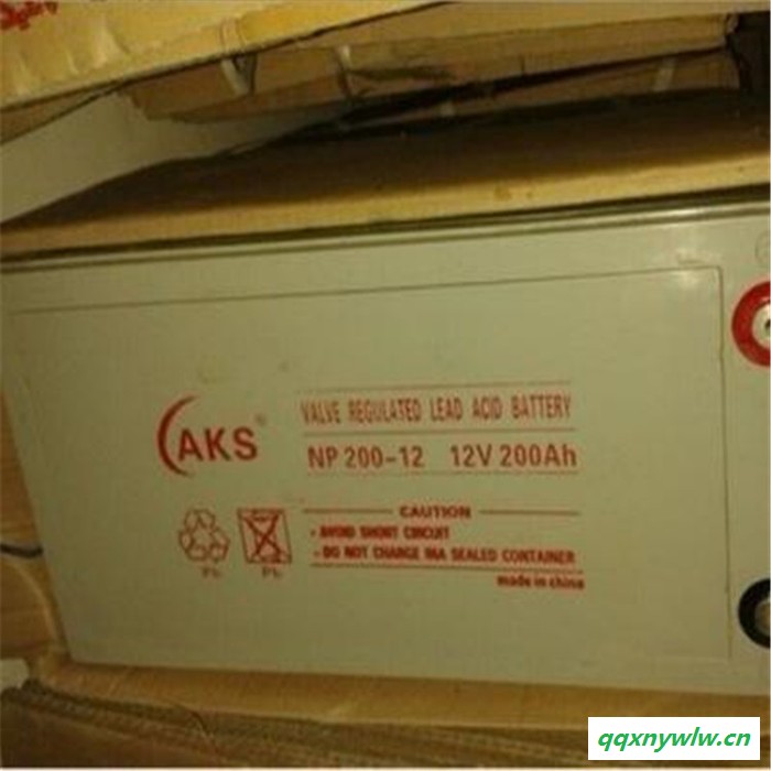 AKS奥克松蓄电池NP12-200 UPS太阳能路灯专用 货真价实 **图2