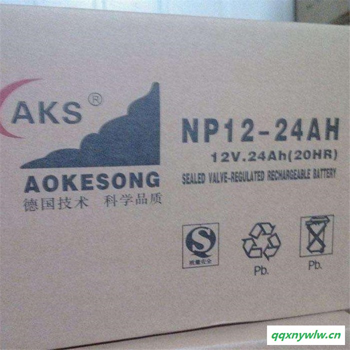 AKS奥克松蓄电池NP12-200 UPS太阳能路灯专用 货真价实 **图5