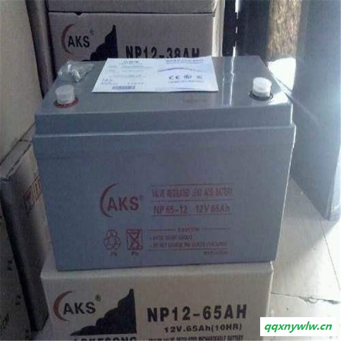 AKS奥克松蓄电池NP12-200 UPS太阳能路灯专用 货真价实 **图1