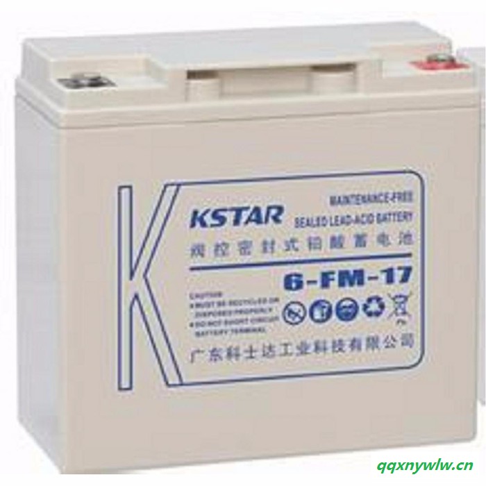 科士达KSTAR蓄电池6-FM-55/12V55AH 阀控式铅酸免维护蓄电池 太阳能 消防 UPS/EPS不间断应急电源图1