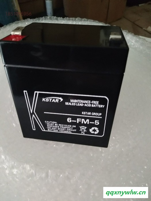 科士达KSTAR蓄电池6-FM-55/12V55AH 阀控式铅酸免维护蓄电池 太阳能 消防 UPS/EPS不间断应急电源图6