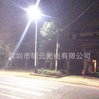 SAR-L60新款**太阳能灯 太阳能路灯 景观灯工厂直销 可OEM 一件