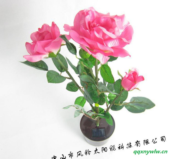 中山太阳能灯 太阳能装饰灯 LED盆栽花园灯 太阳能阳台灯