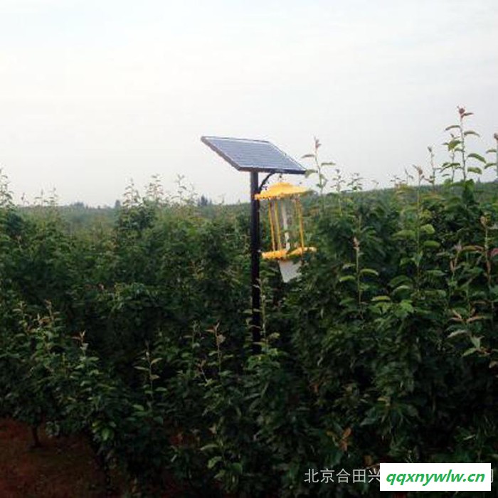 合田兴视供应80W18V高效单晶硅太阳能电池板图3