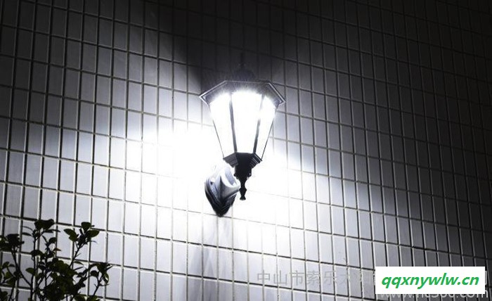 出口太阳能灯19LED大功率铝合金庭院灯3W花园灯小区灯壁座图2