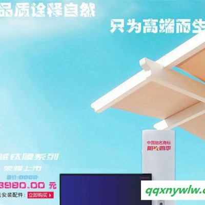 阳光四季蓝钛膜集热器100L平板式太阳能热水器