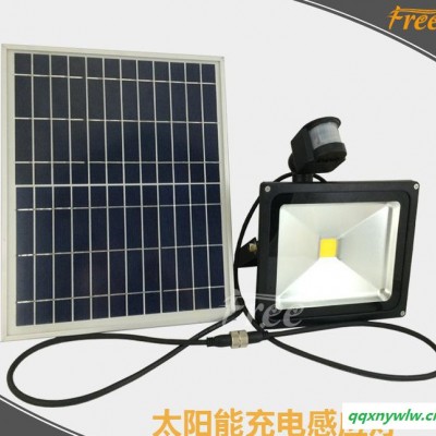LED太阳能投光灯带感应太阳能灯太阳能充电投光灯直销