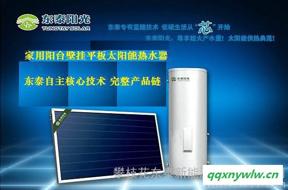 甘肃兰州平板太阳能热水器（东泰阳光）图1