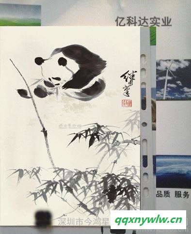 太阳能户外电源 太阳能板充电器 太阳能移动手机充电板 3W 5V图3