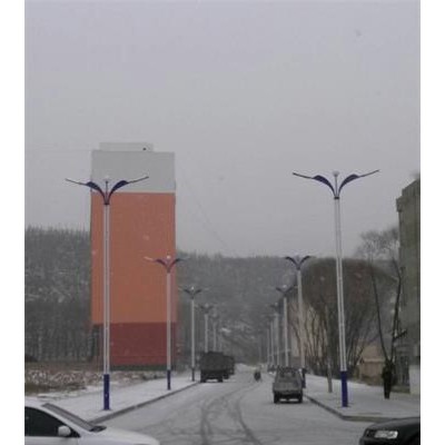 河北新农村道路照明LED太阳能灯具