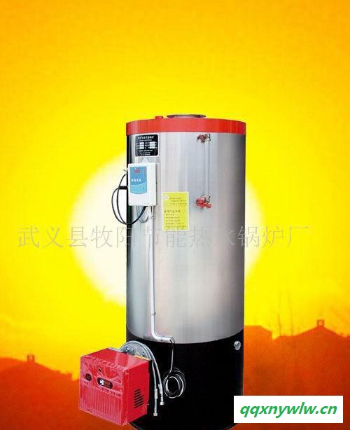 宾馆全自动太阳能双燃料节能环保热水锅炉图2