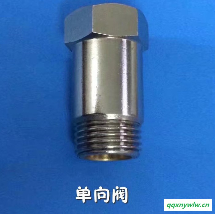 空气能热水器单向阀 直销图1