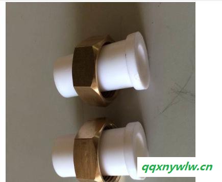 低成本太阳能热水工程用PPR活接头DN15图2