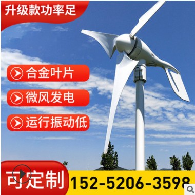 定制小型节能风力发电机微电网风力发电机家用风光互补路灯图3