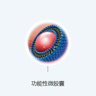 功能性微胶囊图1