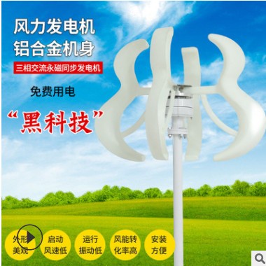 厂家直供新款白葫芦风光互补100w300w垂直轴风力发电机图3