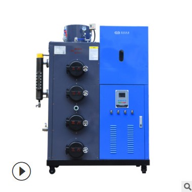 厂家定制全自动200kg蒸汽发生器工业机器全自动生物质蒸汽锅炉图2