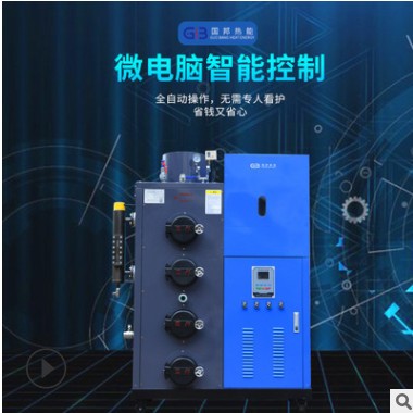 厂家定制全自动200kg蒸汽发生器工业机器全自动生物质蒸汽锅炉图3