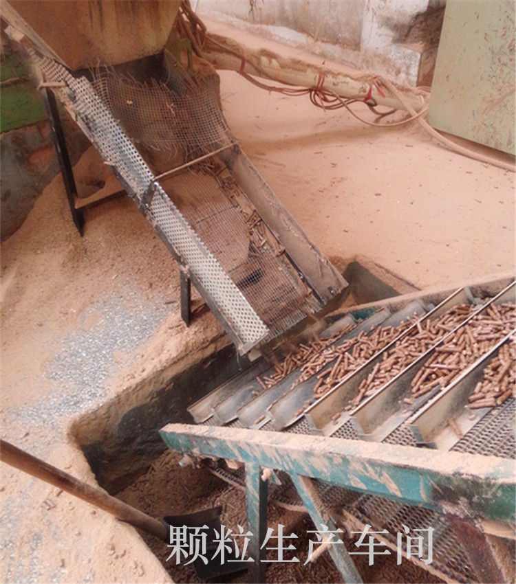 颗粒生产车间