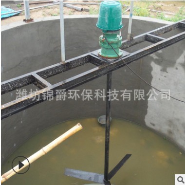 沼气工程用搅拌机 侧搅拌机 沼气搅拌机 沼气设备 厂家供应图2
