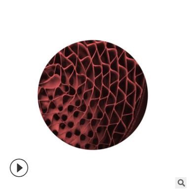 科莱恩 EnviCat-NOx-Red 铁基分子筛 散状蜂窝 高温SCR脱硝催化剂图3