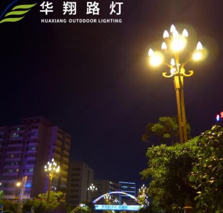 厂家定制工程大型LED景观灯 户外景区广场圆柱孔雀造型特色景观灯图3