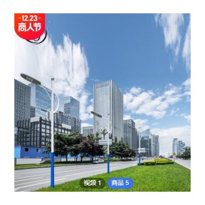 定制市电路灯 新农村户外防雨路灯LED富昌二号大功率高亮市电路灯