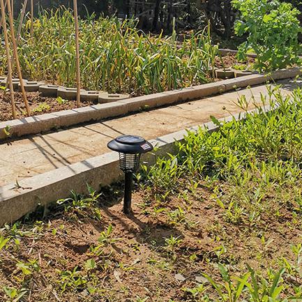 太阳能LED草坪灭蚊器灭蚊灯用于公园景观