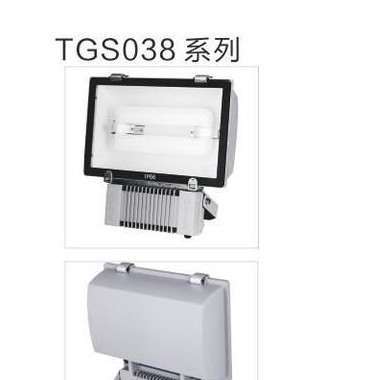 电力士新型无极灯投光泛光灯 强光泛光灯 节能泛光灯 5mm钢化玻璃面 可用15年 保修5年 80-200W TGS038图3