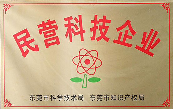 民营科技企业
