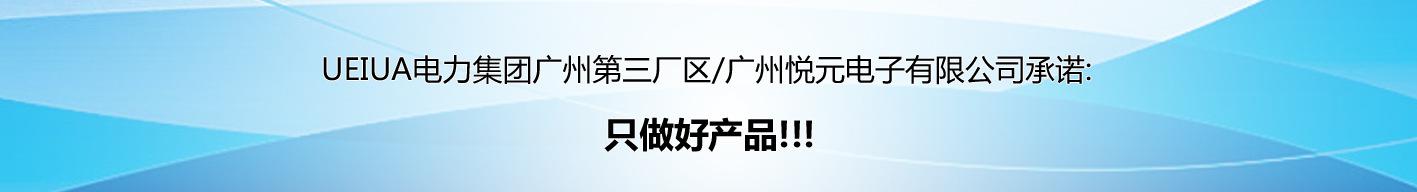 公司承诺2