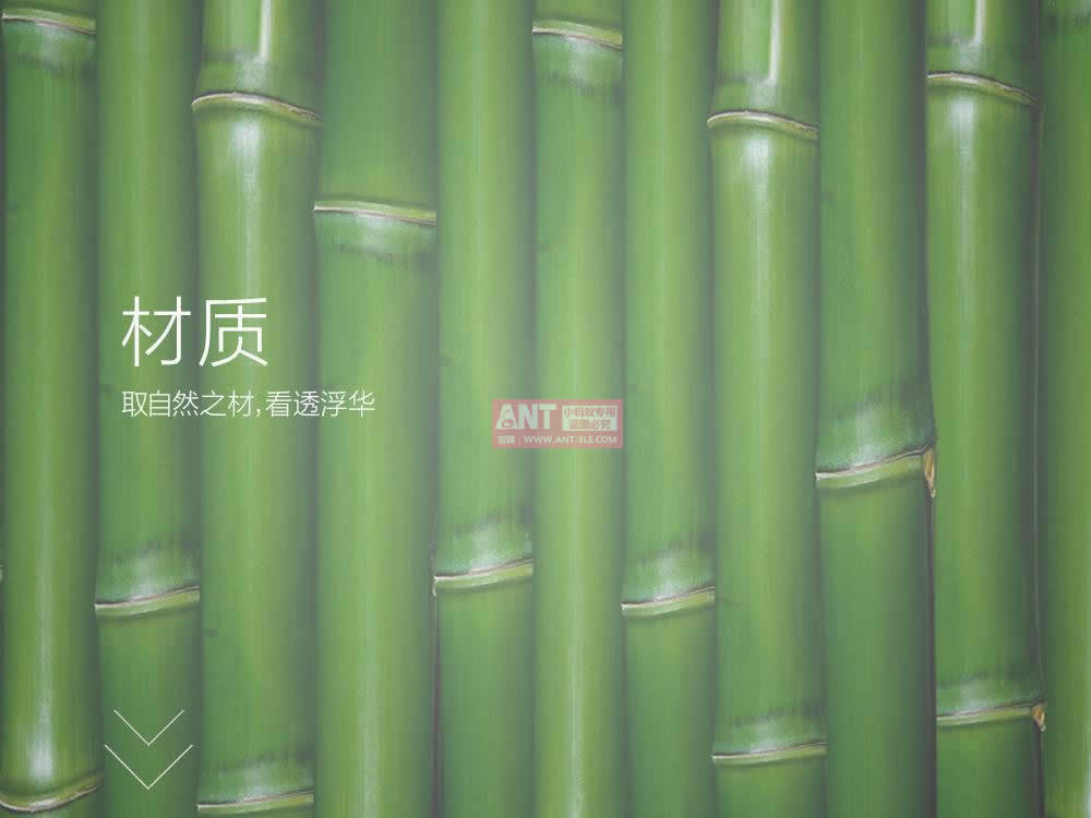 小蚂蚁负离子车载空气净化器ANT-17-09