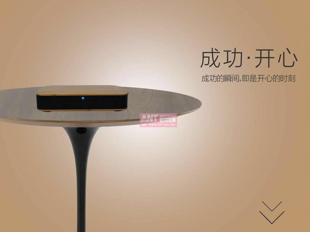 小蚂蚁负离子车载空气净化器ANT-17-12