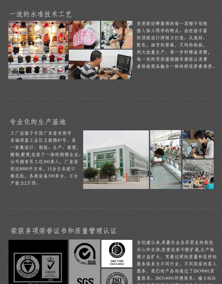 公司介绍