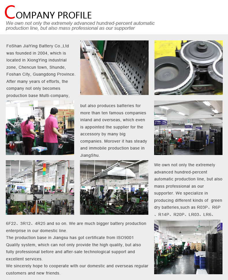 Company Profile