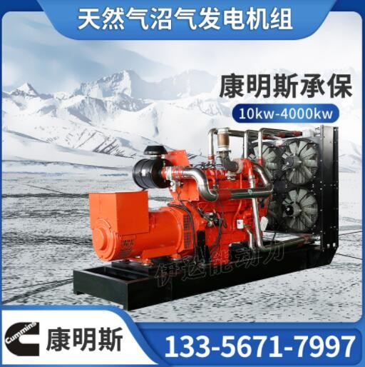 加工定制300kw康明斯天然气发电机组 纯铜无刷垃圾废弃处理发电机图3