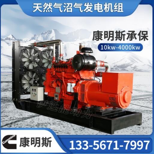 加工定制300kw康明斯天然气发电机组 纯铜无刷垃圾废弃处理发电机图2
